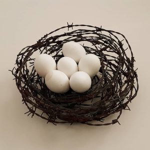 Ninho Trincheira 1. Mirs Monstrengo Arame farpado, Arame, Cascas de ovos, Gesso. 2018